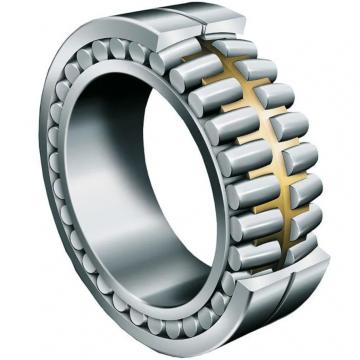 22232 E1A-M-C3          Needle Non Thrust Roller Bearings