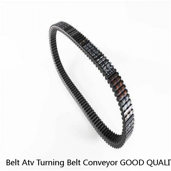 Belt Atv Turning Belt Conveyor GOOD QUALITY Atv Belt Oem Time Packing Material Origin Type Industries Product ISO Delivery Place MOQ #1 small image