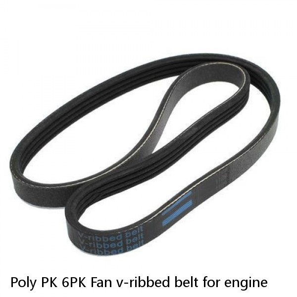 Poly PK 6PK Fan v-ribbed belt for engine #1 small image