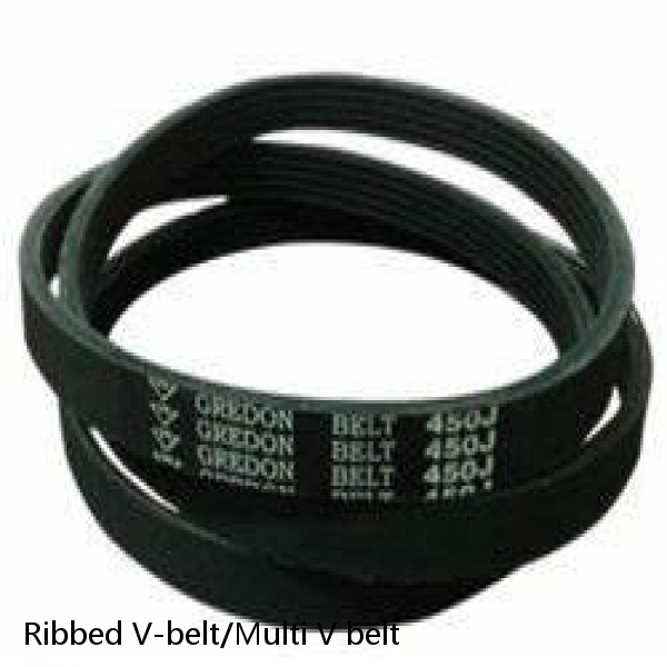 Ribbed V-belt/Multi V belt