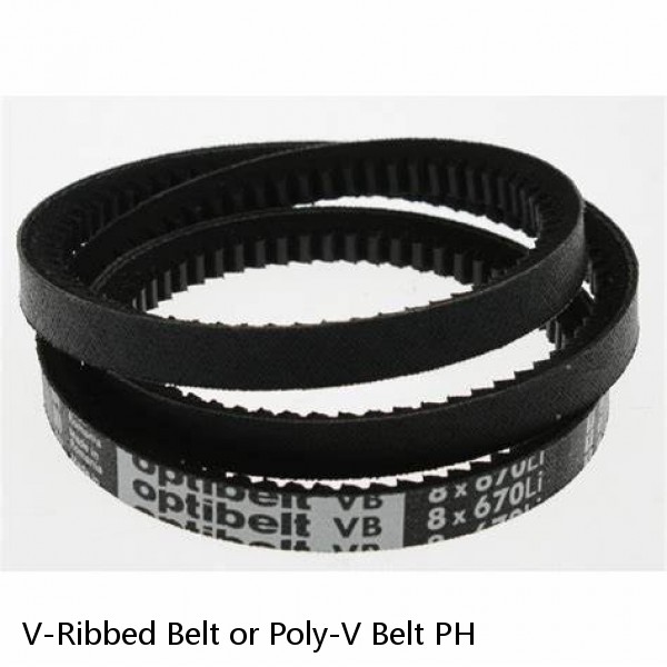 V-Ribbed Belt or Poly-V Belt PH #1 small image