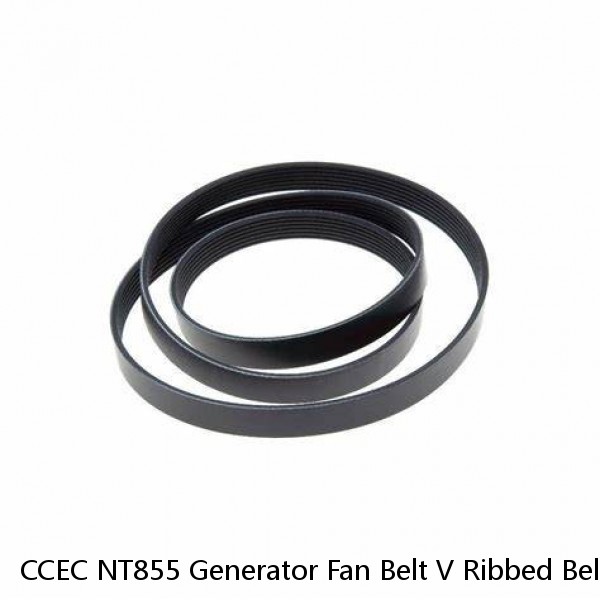 CCEC NT855 Generator Fan Belt V Ribbed Belt 3325963 3040384 3040385 178708 for genset #1 small image