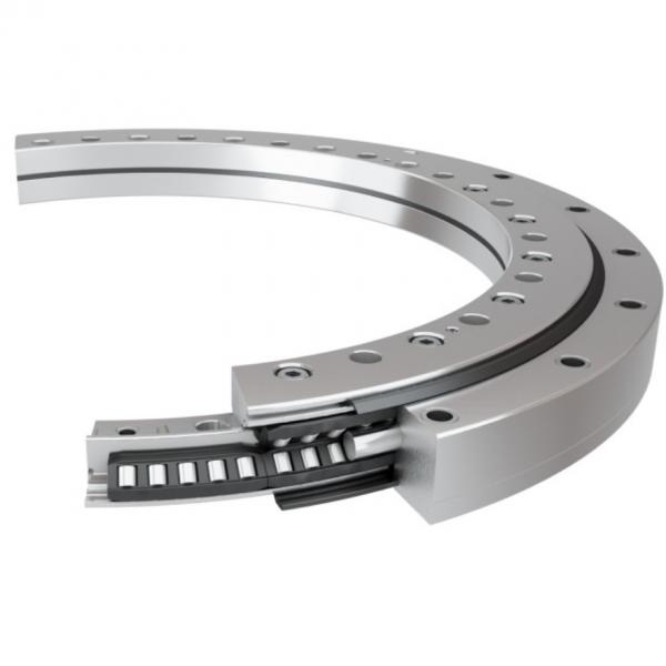 11.25.1800.001.41.1503 Standard 5 Slewing Ring Bearings #2 image