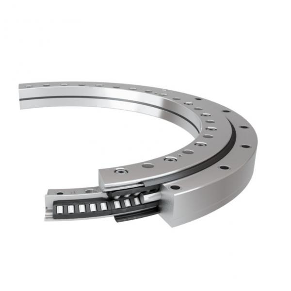 11.25.1461.001.21.1503 Standard 5 Slewing Ring Bearings #2 image