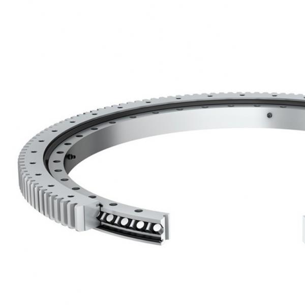 91.35.2012.991.41.1502 Standard 5 Slewing Ring Bearings #1 image