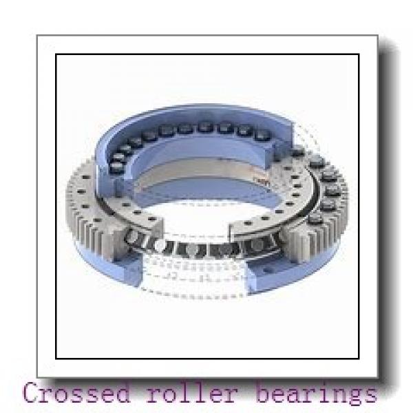 VSA250955-N slewing bearing ina #1 image