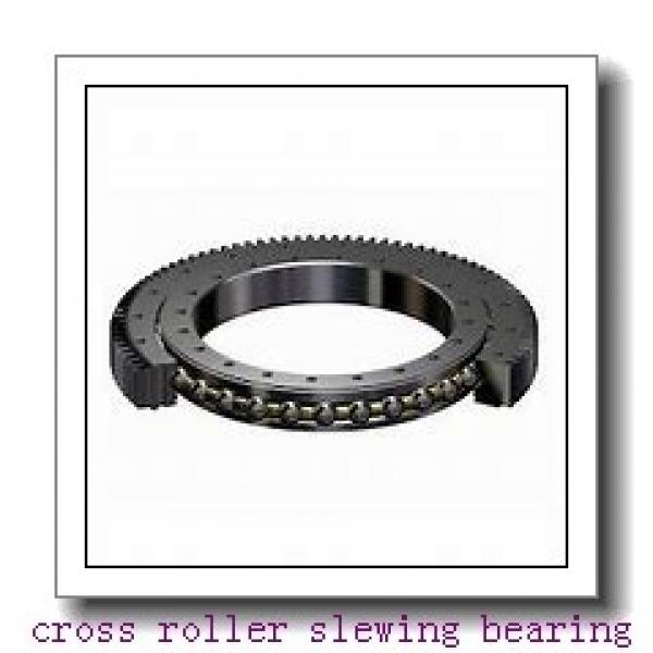 CSF20-XRB Custom made high rigid cross cylindrical roller bearings #2 image