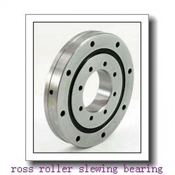 High rigid Crossed Roller Bearing RU66UUCC0 #2 image