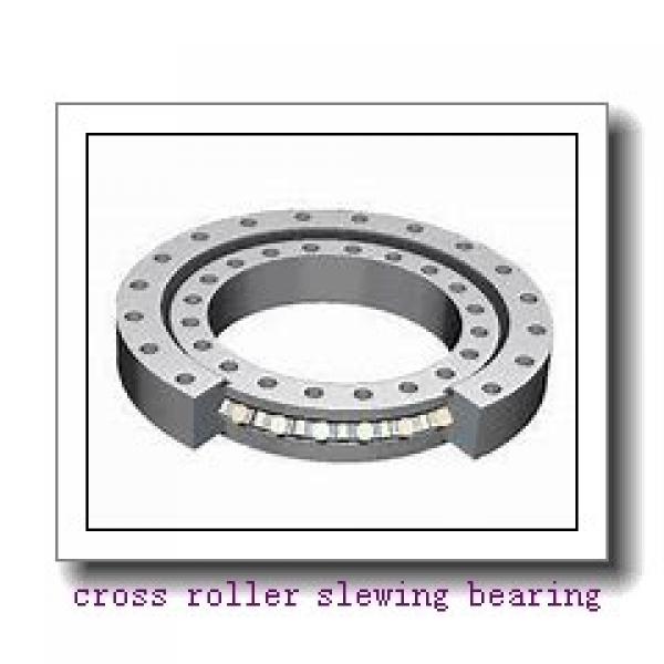 High rigid Crossed Roller Bearing RU66UUCC0 #3 image