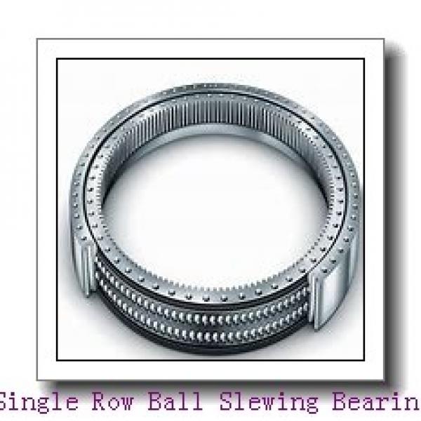 SX011828 Cross Cylindrical Roller Bearing INA Structure #1 image